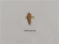 藏品(銀灰帶刺蛾)的圖片